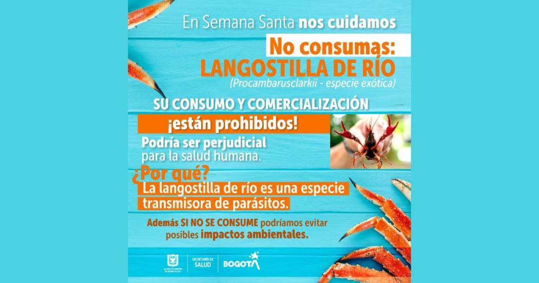 Recomendaciones de salud: consumo de Langostilla de río Semana Santa