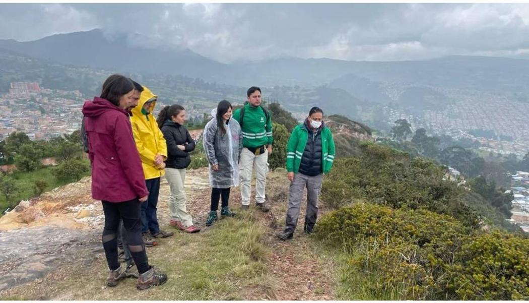 Distrito recupera 30 kilos de laurel de cera en Cerros Orientales 2023