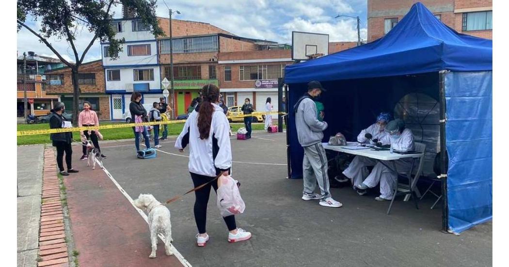 Programación de esterilización de animales en Bogotá junio de 2023