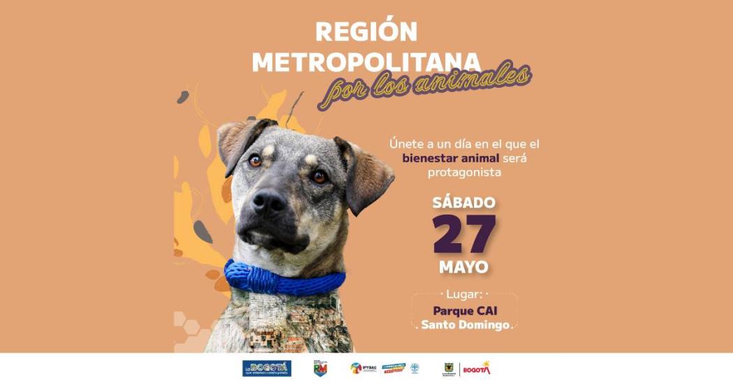 Jornada gratuita de bienestar animal sábado 27 de mayo en C. Bolívar