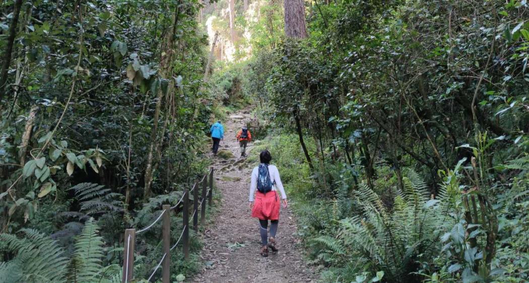Bogotá: Así puedes visitar este mes el sendero de la Quebrada La Vieja