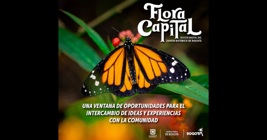 Flora Capital