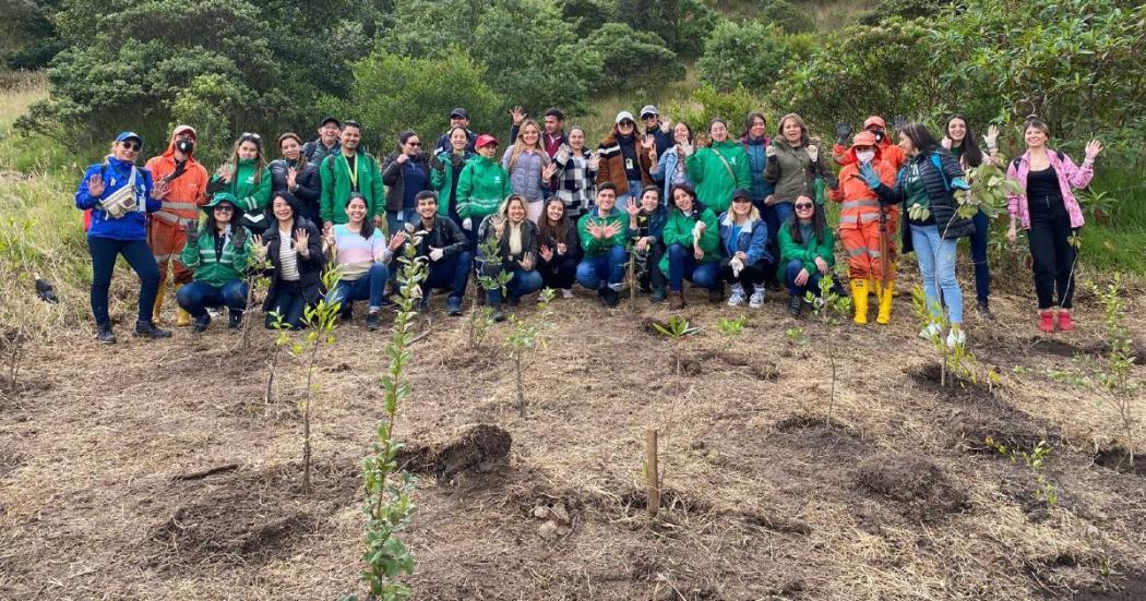 Sec. Ambiente plantó 103 árboles en parque Entrenubes en Bogotá 2023