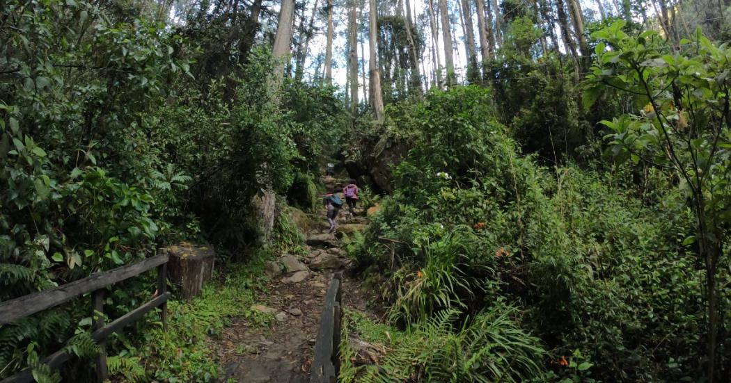 Agéndate y visita los caminos de los cerros orientales en Bogotá 