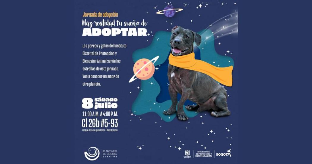 Jornada de adopción de animales este 8 de julio en Planetario Bogotá