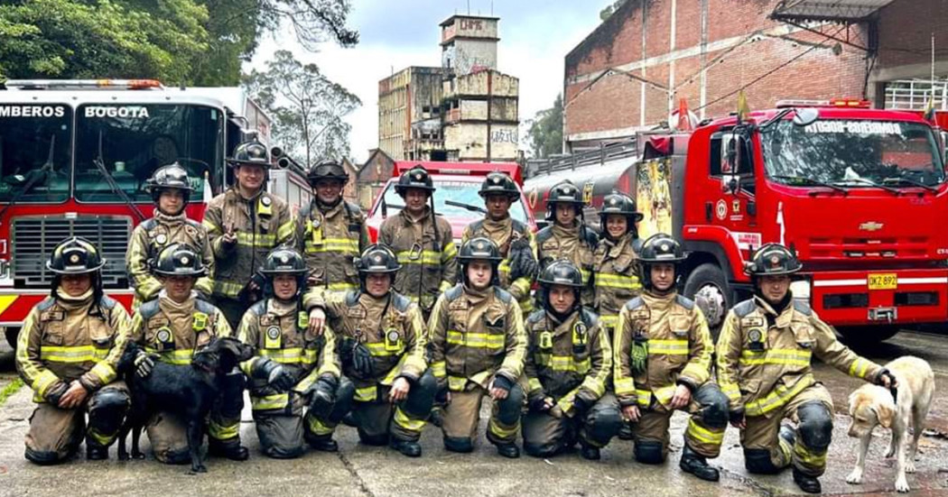 Conoce Las L neas De Atenci n Del Cuerpo Oficial De Bomberos De Bogot Conoce Las L neas De Atenci n Del Cuerpo Oficial De Bomberos De Bogot
