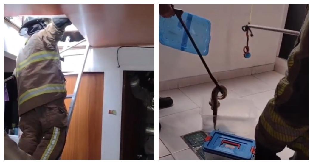 Bomberos rescataron serpiente en el techo de una vivienda en Bogotá