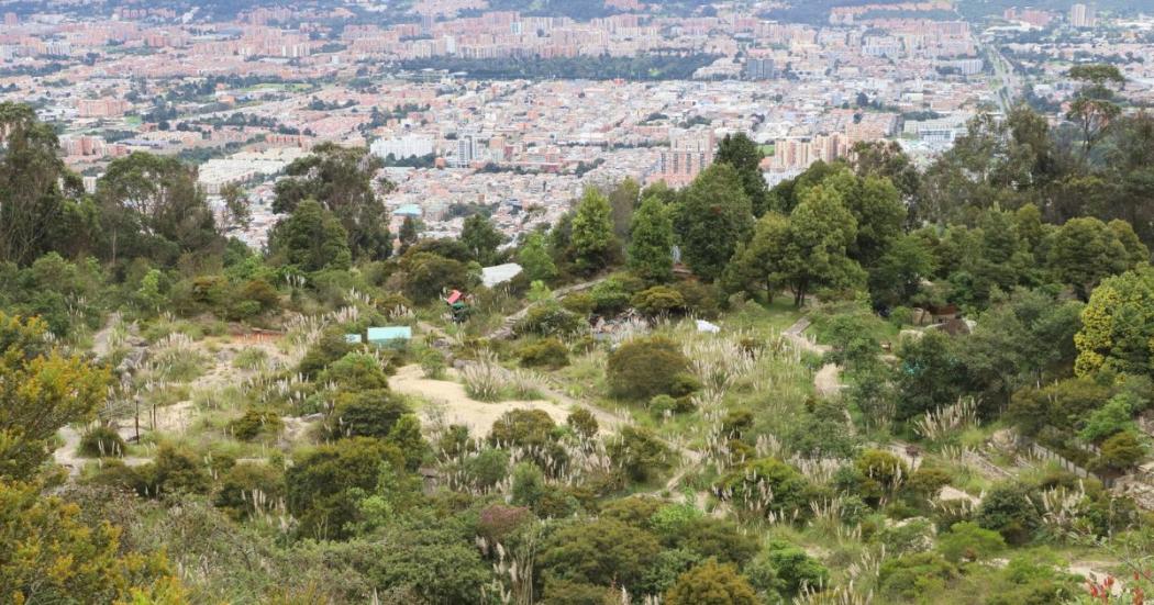 Cierre preventivo: humedales y parques de alta montaña en Bogotá 