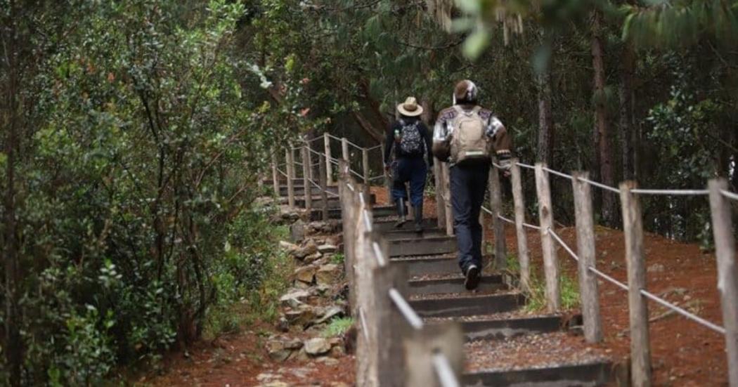 Inscripciones a las caminatas ecológicas programadas para enero en Bogotá 