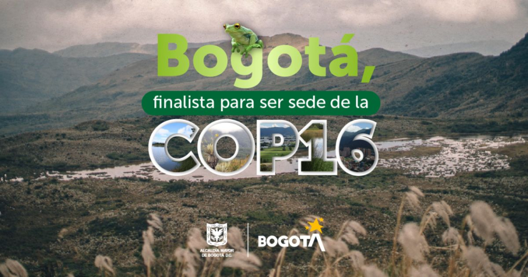 Bogotá, ciudad candidata a sede de la COP16 en octubre 