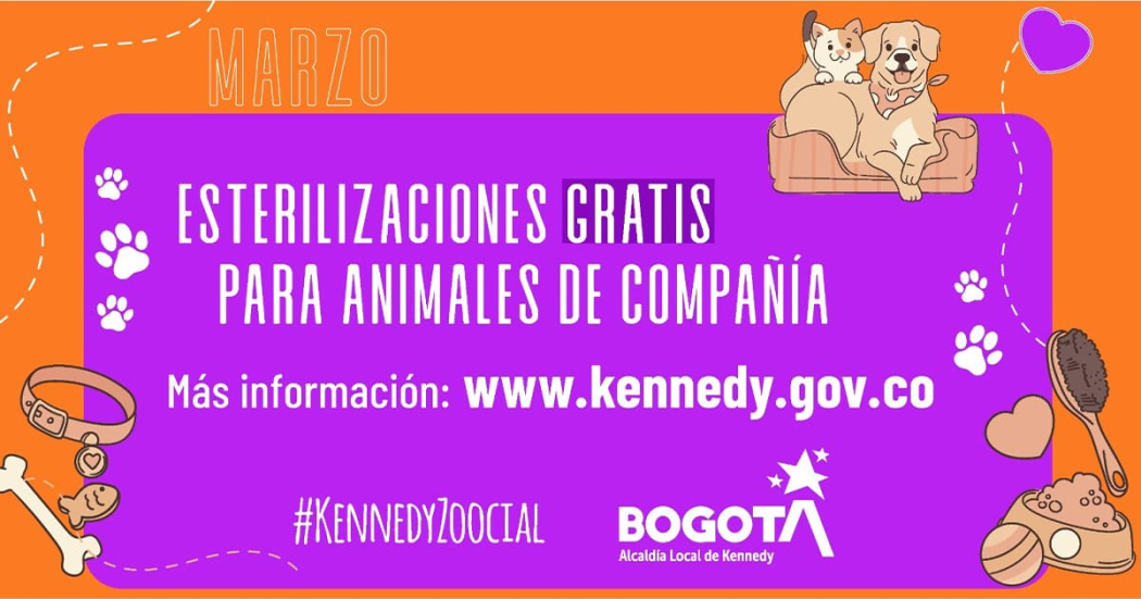 720 cupos para esterilización de mascotas en Kennedy para marzo ¡Consulta! 