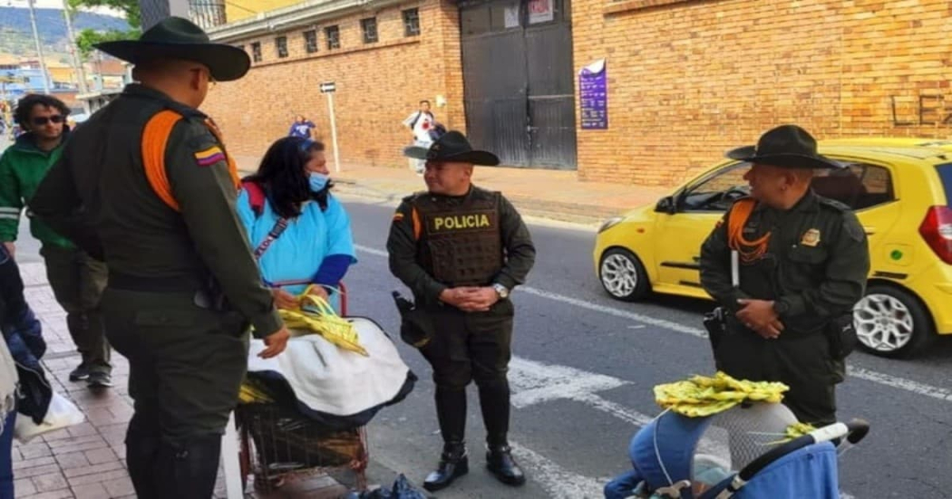 Más de 20 kilos de palma silvestre incautados en dos localidades