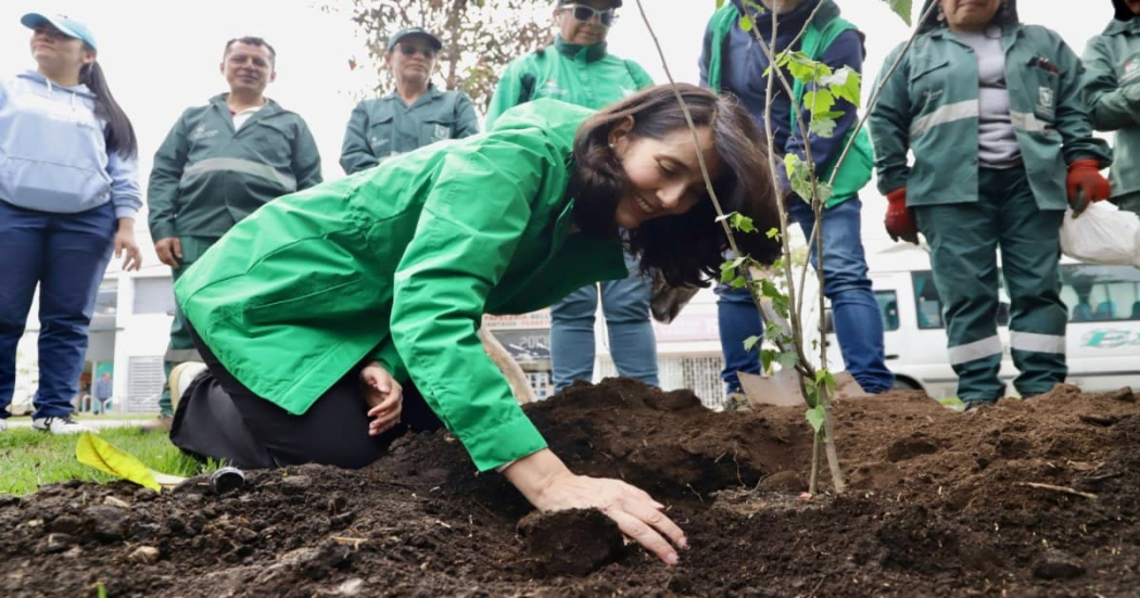 Celebración del Día Nacional del Árbol en Bogotá con plantaciones