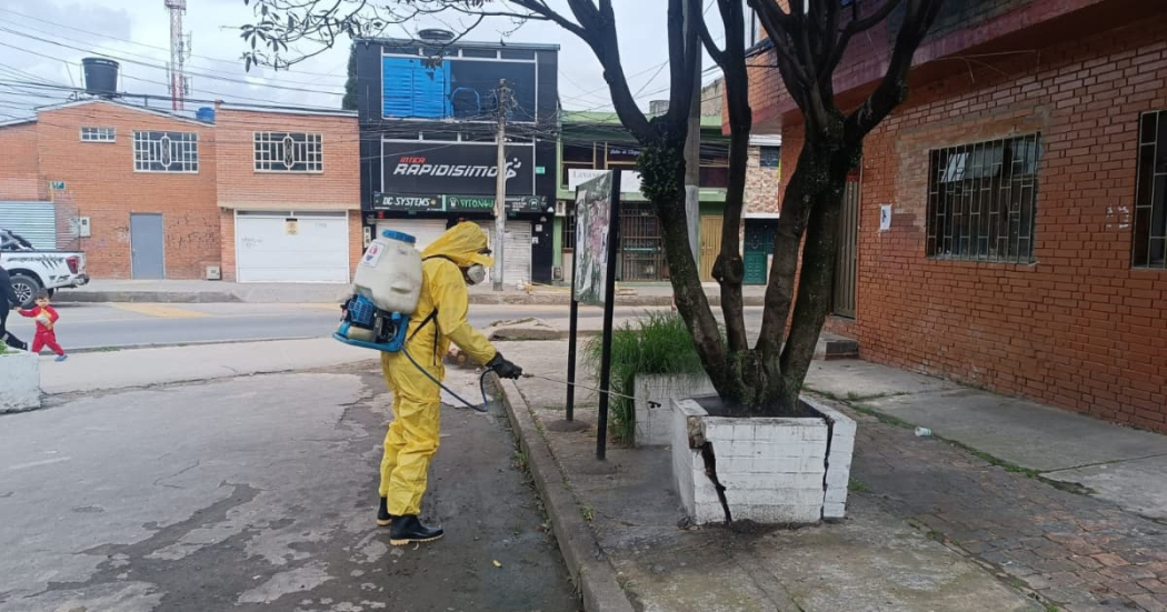 Distrito anuncia medidas de prevención en Bogotá para leptospirosis