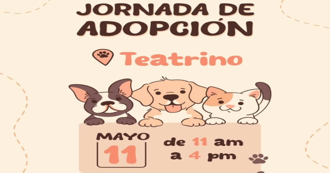 Celebración Día de la Madre: jornada de adopción de perros y gatos