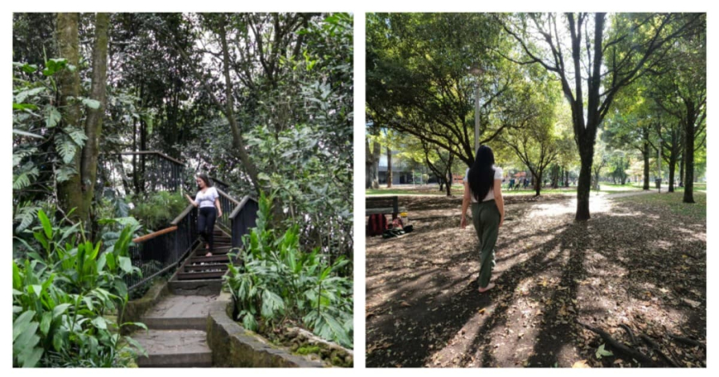 Jardín Botánico entre ganadores Premio Cástulo Rodríguez Correa 2024