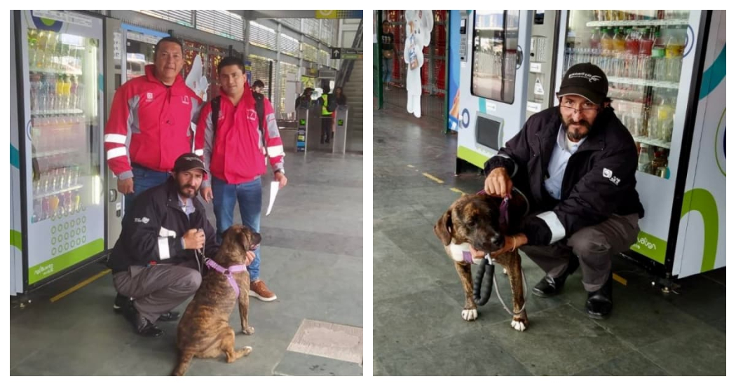 Conductor en Bogotá adoptó a perra abandonada en ruta alimentadora