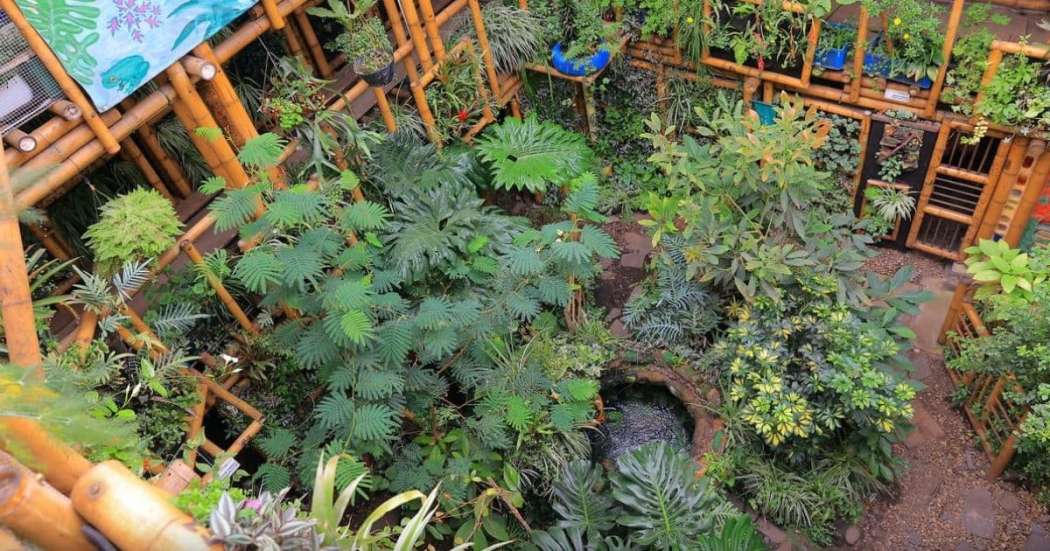 Huerta madre en el Jardín Botánico de Bogotá: horarios y detalles