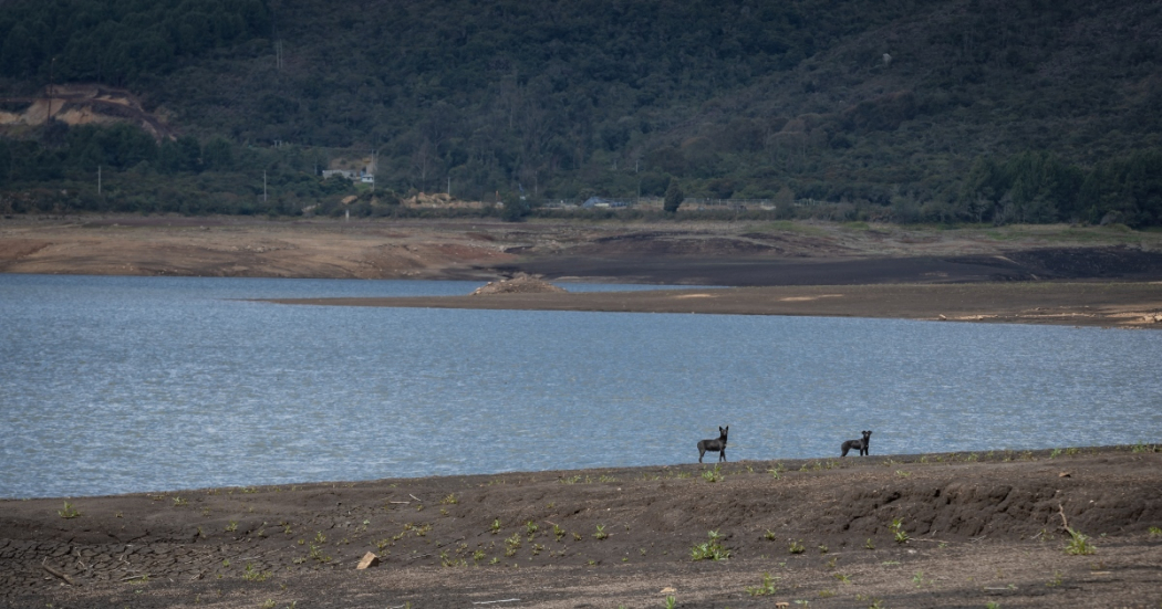 Cuánta agua se ha acumulado en Sistema Chingaza desde el racionamiento