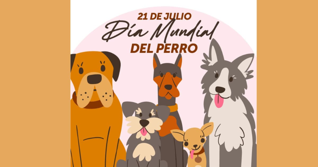 Día Mundial del Perro en Bogotá: Jornada de adopción 21 de julio 2024