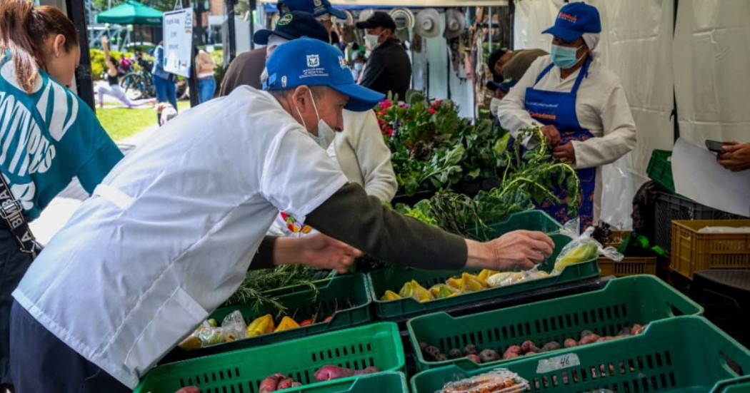 Apoyos a comerciantes en Bogotá: Distrito beneficiará a 300 minoristas