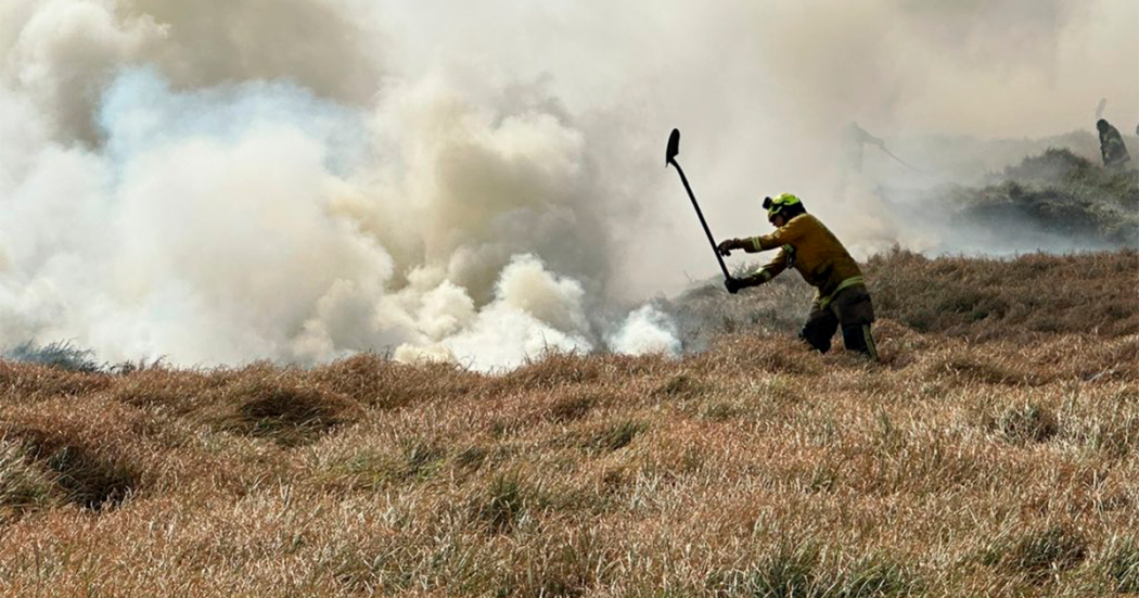 Bomberos controlan 7 incendios en Bogotá hoy lunes 9 septiembre 2024