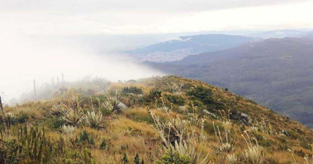 Cerros Orientales Bogotá cierre preventivo camino Guadalupe - Aguanoso |  Bogota.gov.co