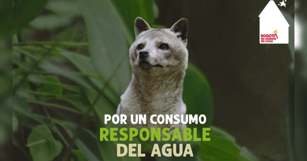 Racionamiento de agua en Bogotá: recomendaciones consumo responsable 