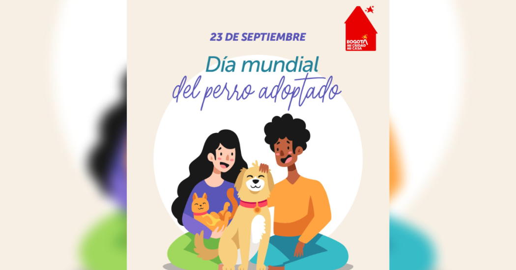 Día Mundial del Perro Adoptado: conmemoración en Bogotá 2024 