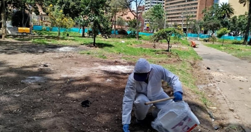 Distrito avanza en control de roedores e insectos en Parque Nacional 