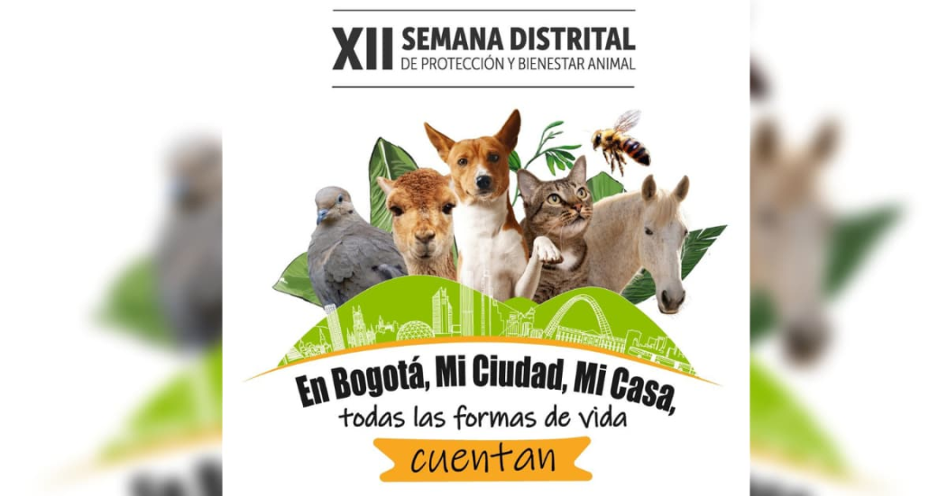 XII Semana Distrital de Protección y Bienestar Animal 2024 en Bogotá