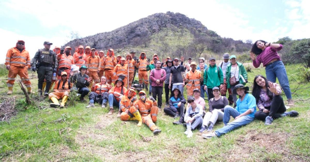 Siembra de árboles en Bogotá parque Entrenubes afectado por incendios 