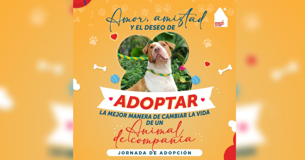 Jornada de adopción de perros en Bogotá 21 y 22 de septiembre 2024