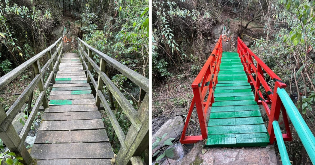 Distrito revitalizó y embelleció la Quebrada Las Delicias de Bogotá