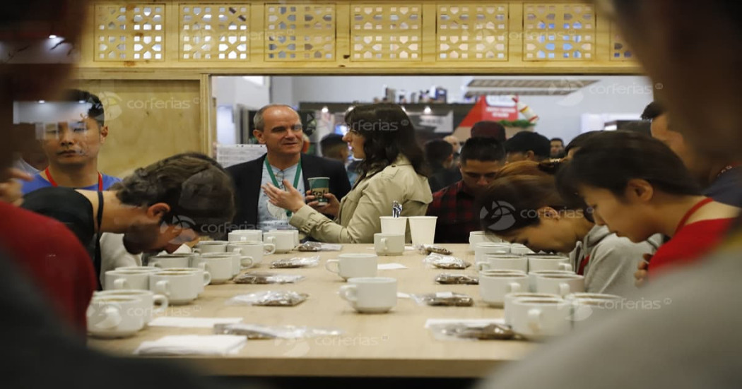 Del 5 al 8 de octubre se reunirá en Bogotá toda la cadena del café 