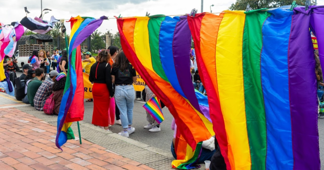 Elecciones atípicas al Consejo Local LGBTI de Bosa en Bogotá 