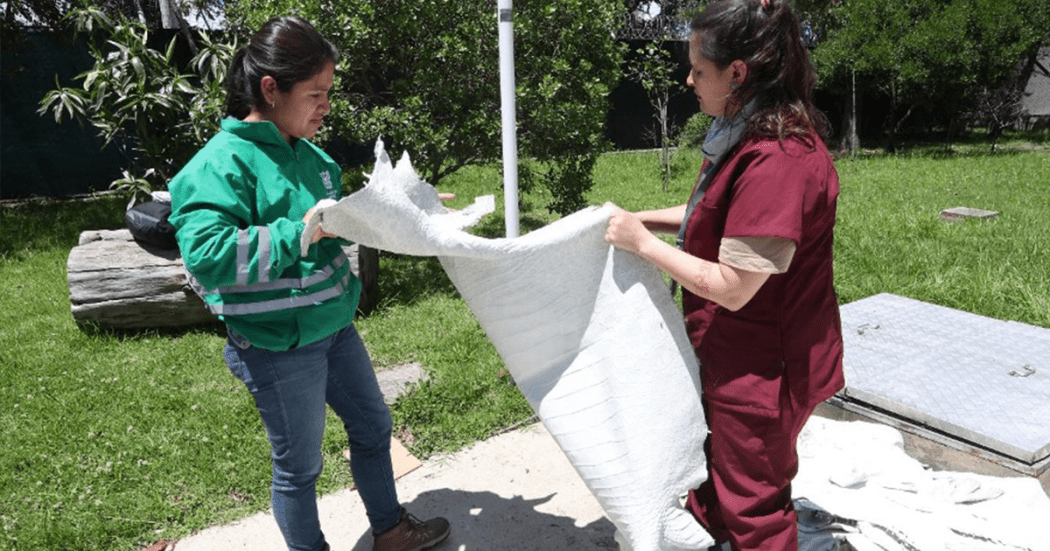 Distrito incautó más de 130 kilos de pieles de fauna silvestre Bogotá