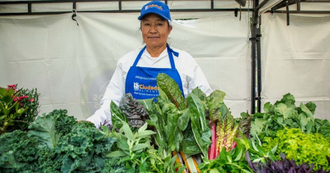 Planes en Bogotá: Mercados Campesinos 19 y 20 de octubre 2024 asiste