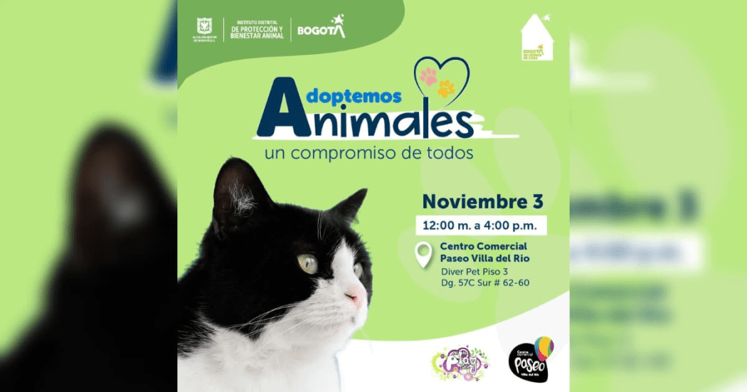 Jornada de adopción de perros y gatos en Bogotá 3 de noviembre 2024