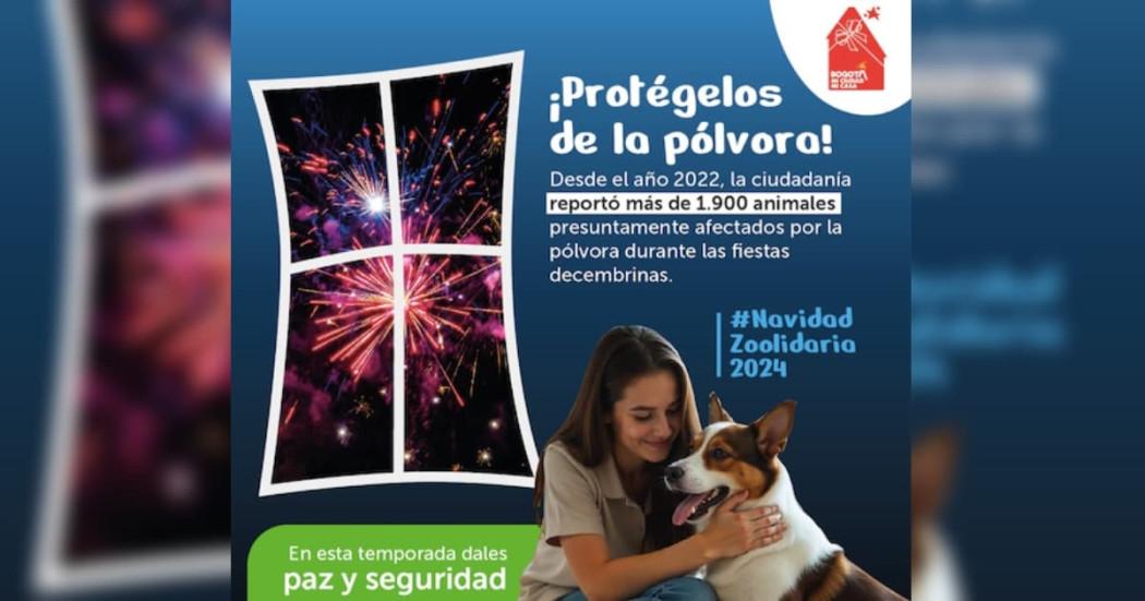 En Bogotá van 1.900 animales atendidos por afectaciones con pólvora