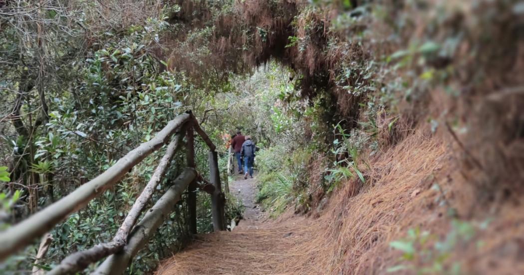 Caminatas ecológicas en Bogotá: conoce los horarios diciembre de 2024 