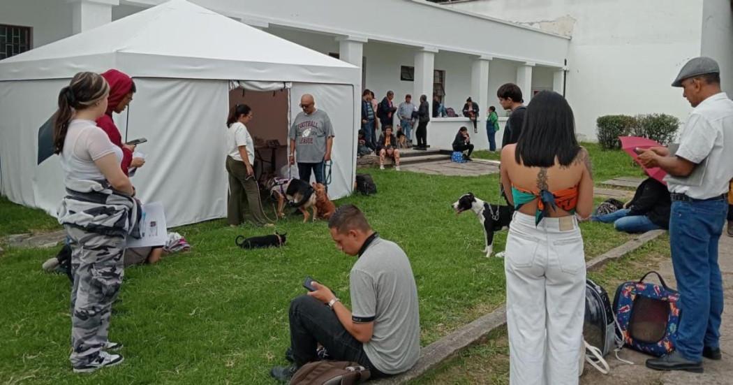 Esterilización gratuita de mascotas de Bogotá en Universidad Nacional