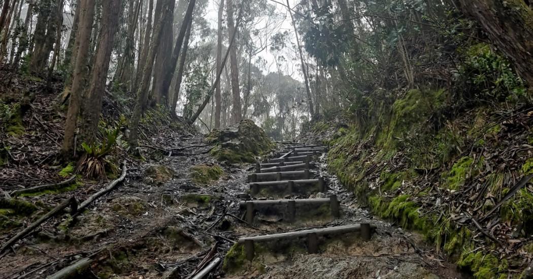 Cierres temporales en los senderos ecológicos de Bogotá enero 2025 