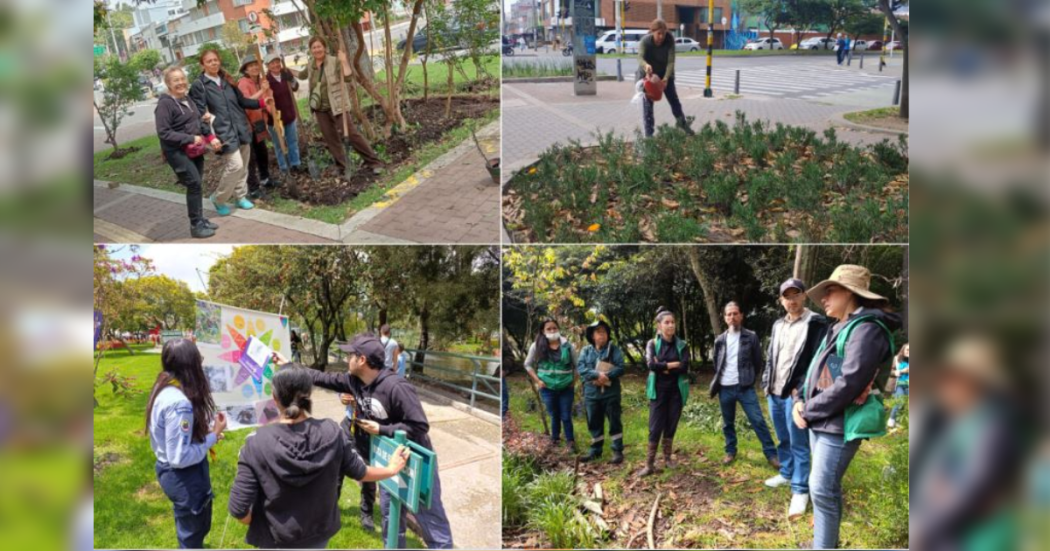 Bogotá fortalece sus bosques urbanos con el apoyo de la comunidad.