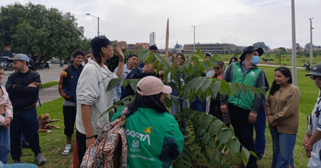 Bogotá fortalece su gran cobertura vegetal con 399 árboles sembrados