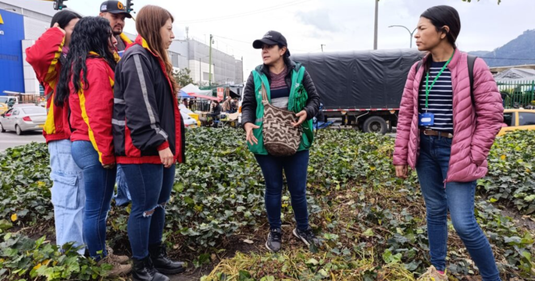 Bogotá se une por la recuperación de jardines en zonas de Los Mártires