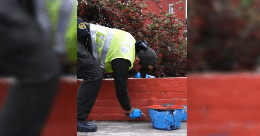 Bogotá embellece el Parque de Techo con gran apoyo interinstitucional