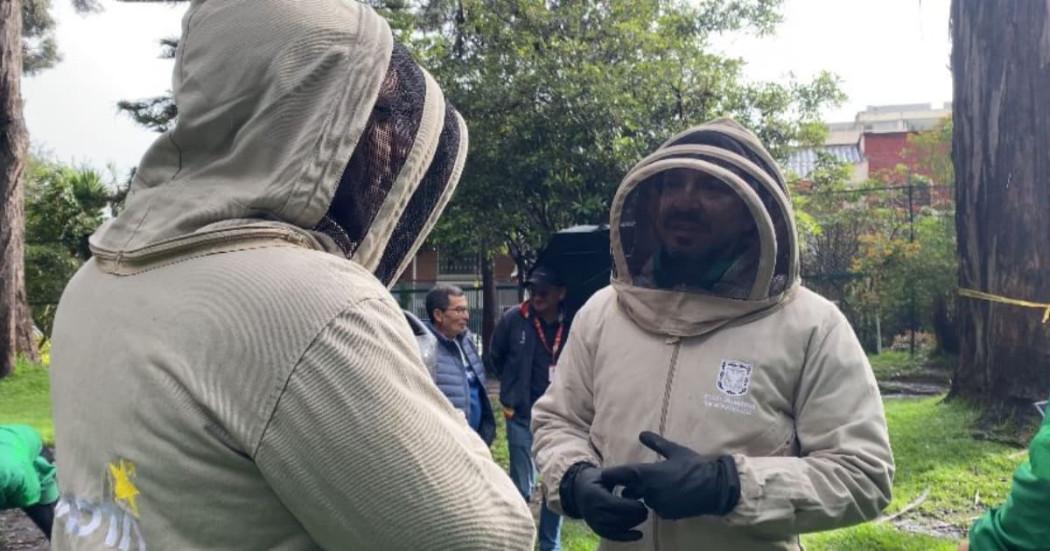 Conmemoración del Día Mundial de las Abejas Bogotá martes 20 de mayo 