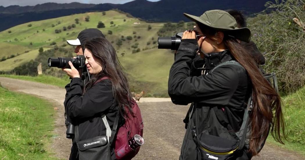 Bogotá se destaca y es protagonista en el Global Big Day 2025 de aves
