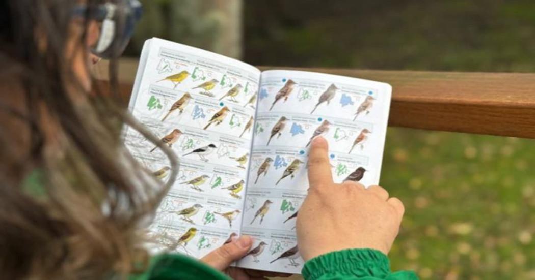 Bogotá se une a la conmemoración del Global Big Day 2025 observar aves